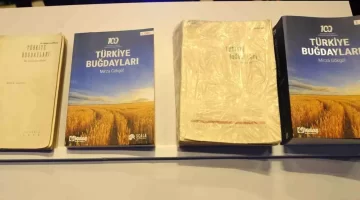 Anadolu Buğdayları Tekrar Gün Yüzünde
