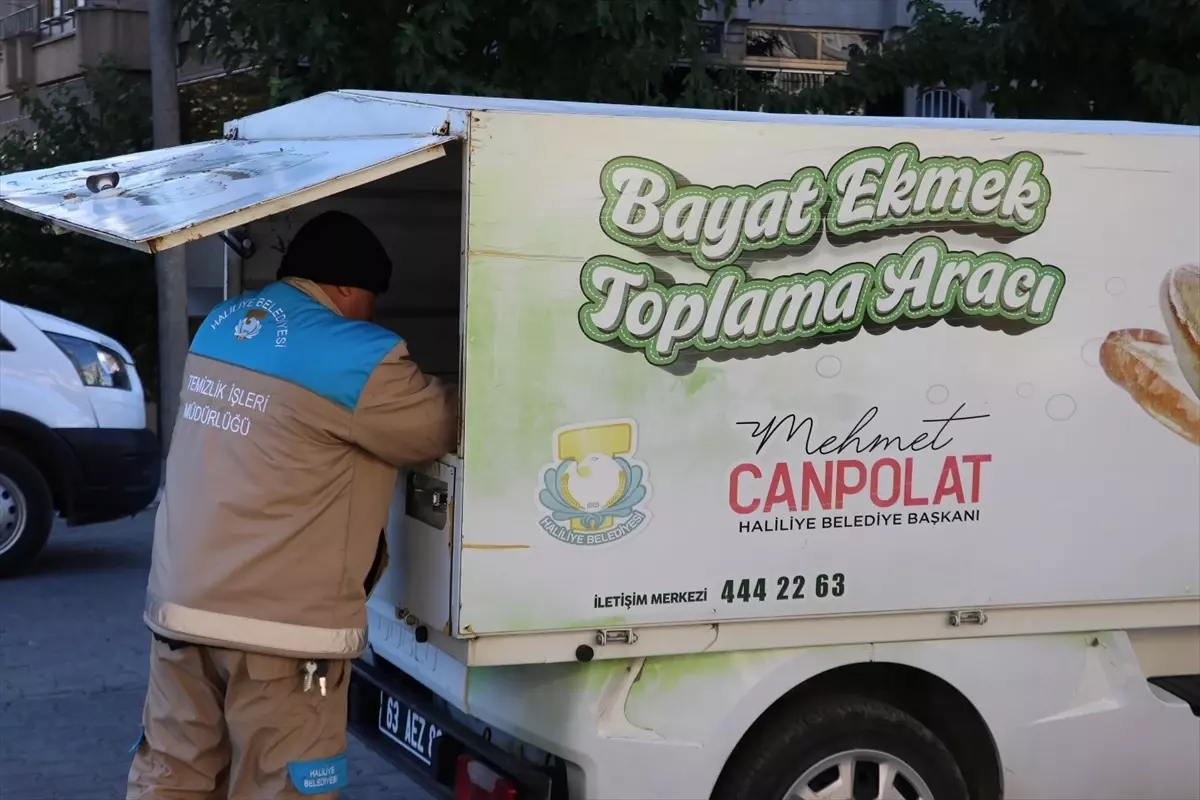 Bayat Ekmek Projesi: 11 Ton Ekmek Toplandı