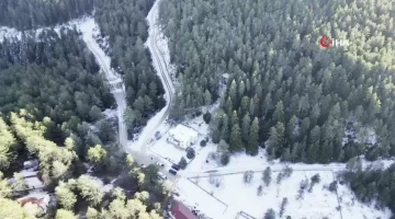Bilecik’te Yaban Hayvanları İçin Yem Bırakıldı