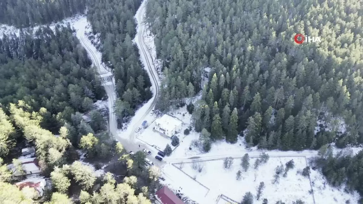 Bilecik’te Yaban Hayvanları İçin Yem Bırakıldı