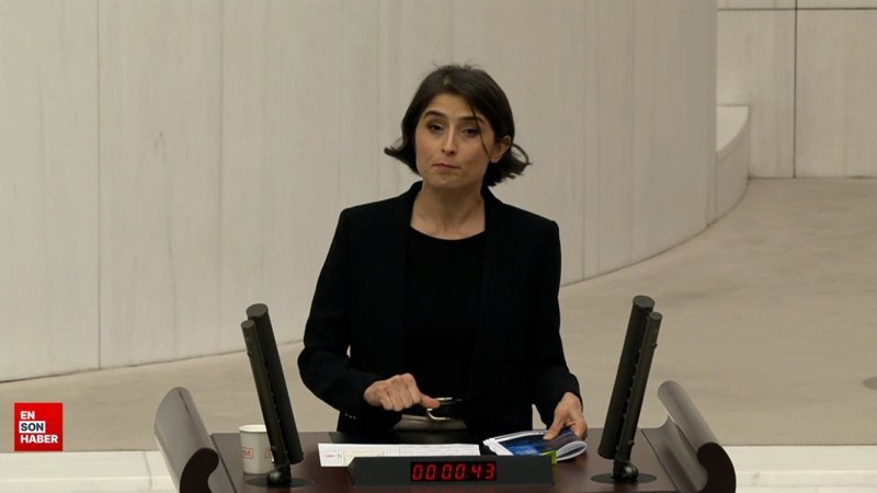 DEM’li Ceylan Akça, elektrik faturalarından rahatsız oldu
