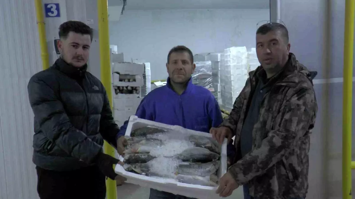 Denizi Olmayan Kayseri’den 10,5 Bin Ton Balık İhracatı