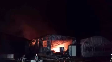 Gölhisar’da Yangın: 3 Milyon TL Ziyan
