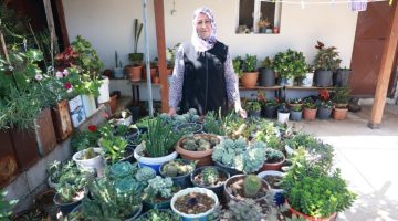 Hatay’da meskenini çiçeklerle donattı