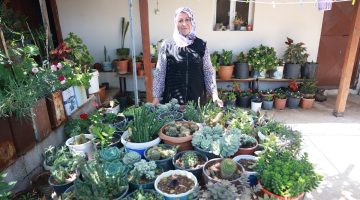 Hatay’da meskeninin etrafını çiçeklerle donattı: 500 farklı tıp çiçek büyüttü