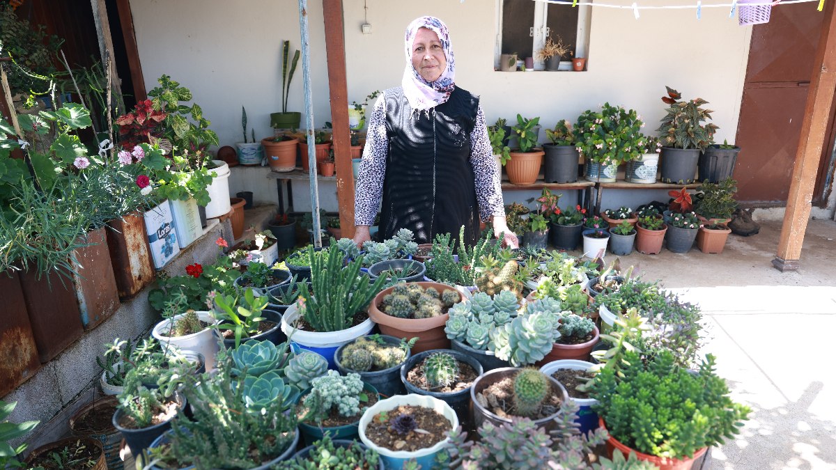 Hatay’da meskeninin etrafını çiçeklerle donattı: 500 farklı tıp çiçek büyüttü