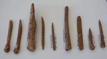 İzmir’de 8.500 Yıl Öncesine İlişkin Kemik Aletler Bulundu