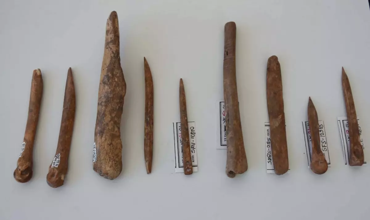 İzmir’de 8.500 Yıl Öncesine İlişkin Kemik Aletler Bulundu