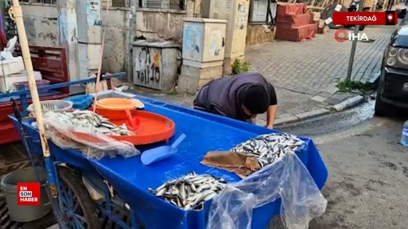 Tekirdağ’da balıkçıdan yılbaşı bildirisi