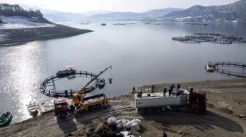 Tokat’tan Karadeniz’e Somon İhracatı